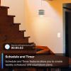 image:imageTPLink Tapo Matter Smart Dimmer Switch Voice Control wSiri Alexa amp Google Assistant UL Certified Timer amp Schedule Easy Guided Install Neutral Wire Required Single Pole Tapo S505D2PackSingle Pole