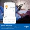 image:imageTapo TPLink Smart Light Bulbs  Natural Daylight Dimmable Compatible wAlexa and Google Home A60 BulbE27 Base 60W Equivalent 800LM CRIgt90 24GHz WiFi Only No Hub Required L520E4Pack800lm 4000k Daylight White