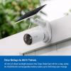 image:imageTapo by TPLink Wireless Outdoor Security Camera 1080P Up to 180 Days Battery Life Free Person Detection SDCloud Storage Spotlight Color Night Vision Alarm No Hub Needed Black C403White