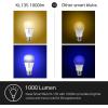 image:imageKasa Smart Light Bulbs 1000 Lumens High Brightness 16M Color Changing Dimmable Smart WiFi Light Bulb Compatible with Alexa and Google Home A19 24GHz WiFi only No Hub Required KL1354 Pack