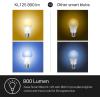 image:imageKasa Smart Light Bulbs 1000 Lumens High Brightness 16M Color Changing Dimmable Smart WiFi Light Bulb Compatible with Alexa and Google Home A19 24GHz WiFi only No Hub Required KL1354 Pack
